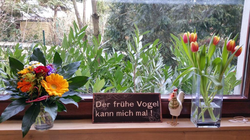 Gaestehaus Sonnenhuegel Möhnesee Pokoj fotografie